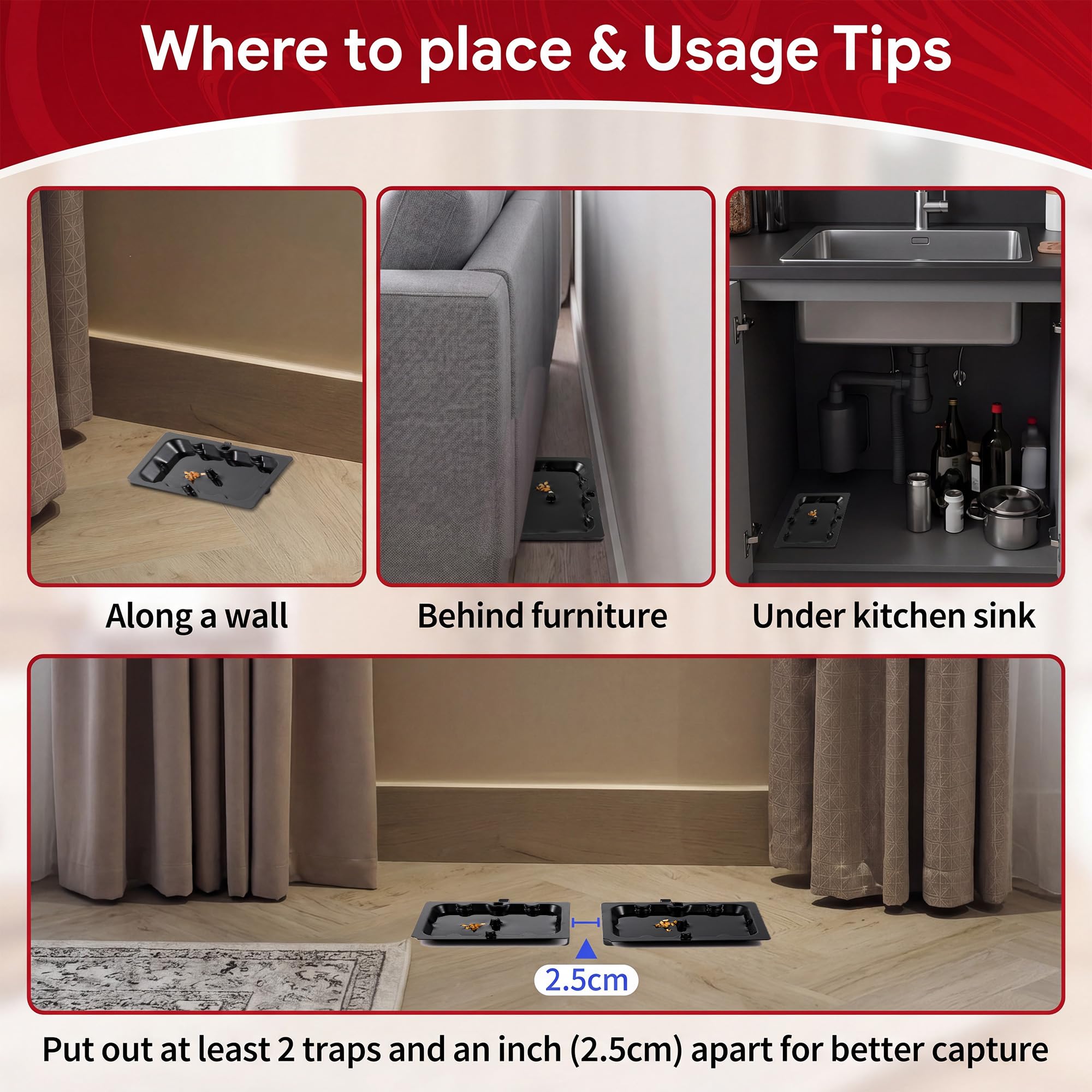 Qualirey trap in a corner with ruler for scale showing compact size advantage