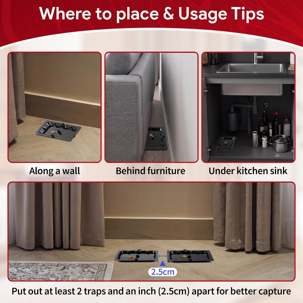Qualirey trap in a corner with ruler for scale showing compact size advantage