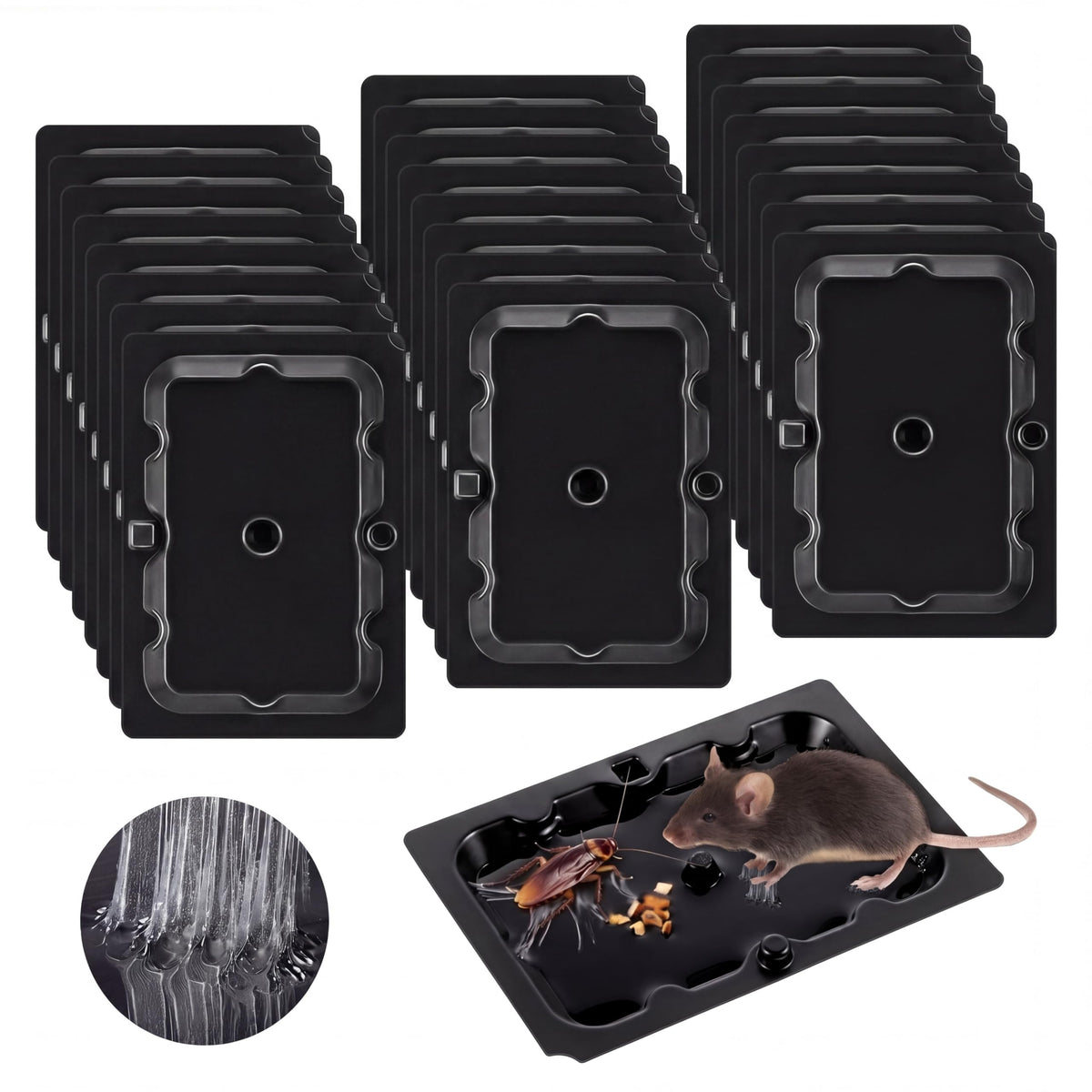 Qualirey front packaging showing 24-pack sticky mouse traps and convenience