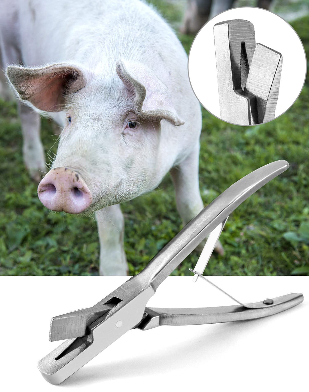 QWORK size comparison with a hand showing scale for comfortable handling benefit