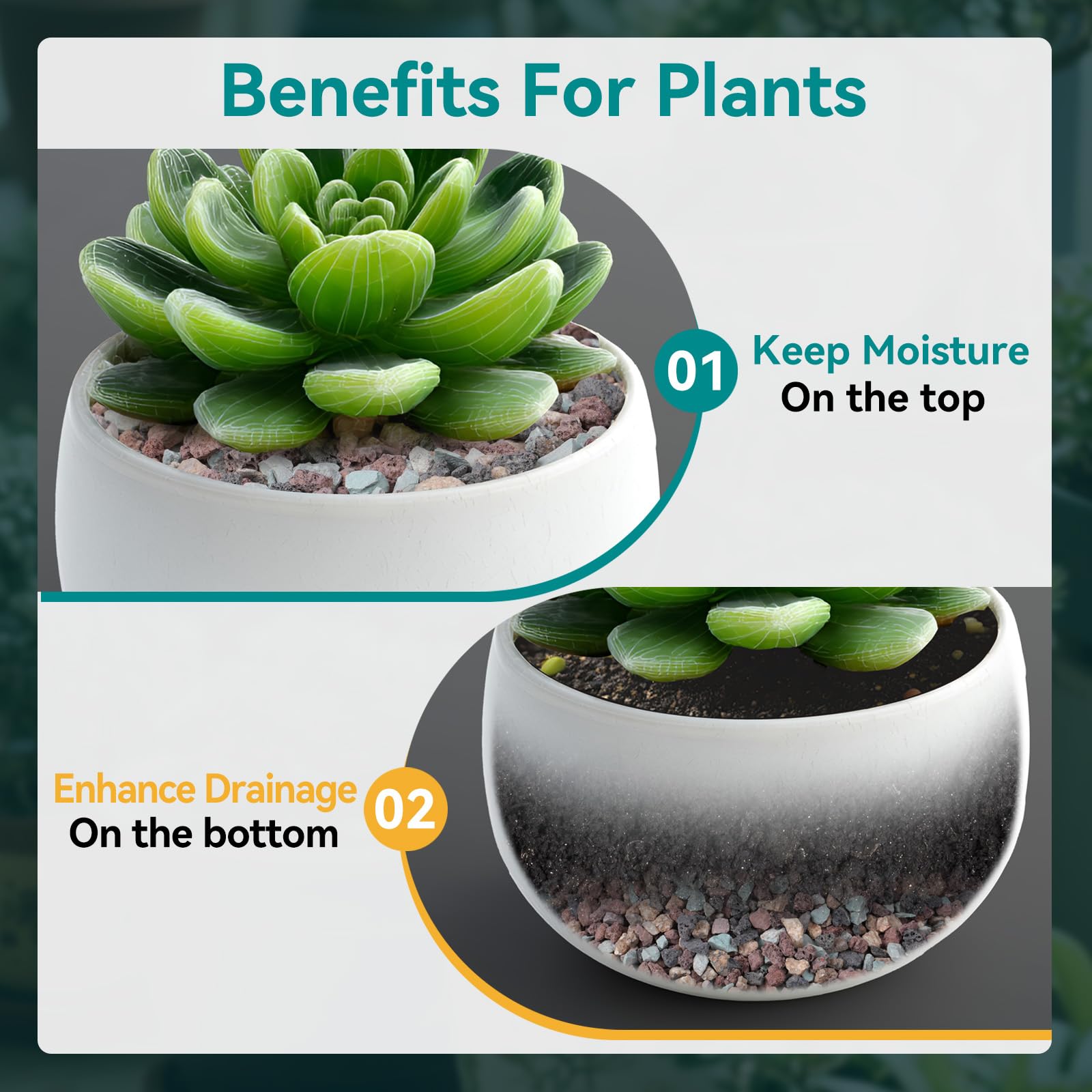 Rahato rocks used as succulent topdressing improving appearance