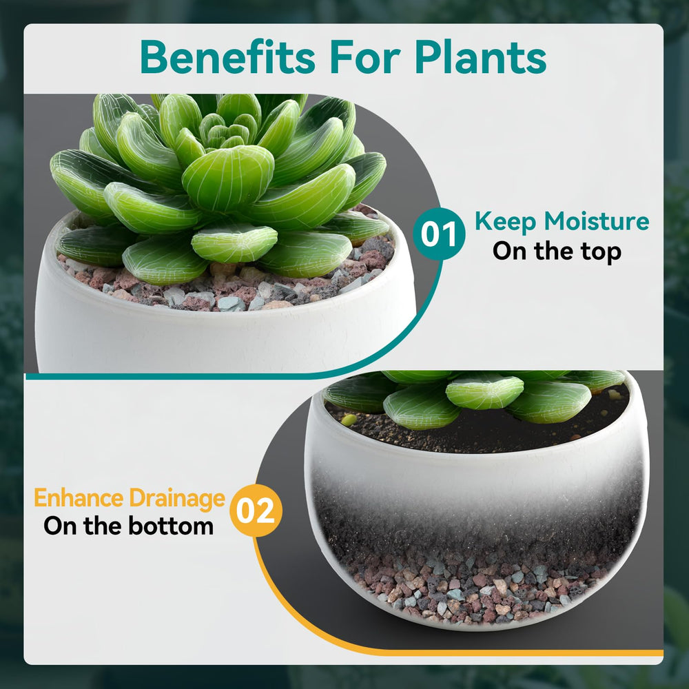 Rahato rocks used as succulent topdressing improving appearance