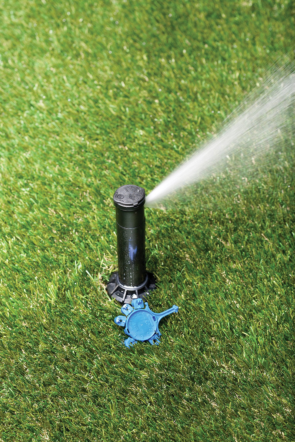 Rain Bird CP3504PC installed in yard demonstrating even lawn coverage and reduced overspray