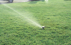 Rain Bird LG-3 installed in-ground popping up through turf for discreet operation