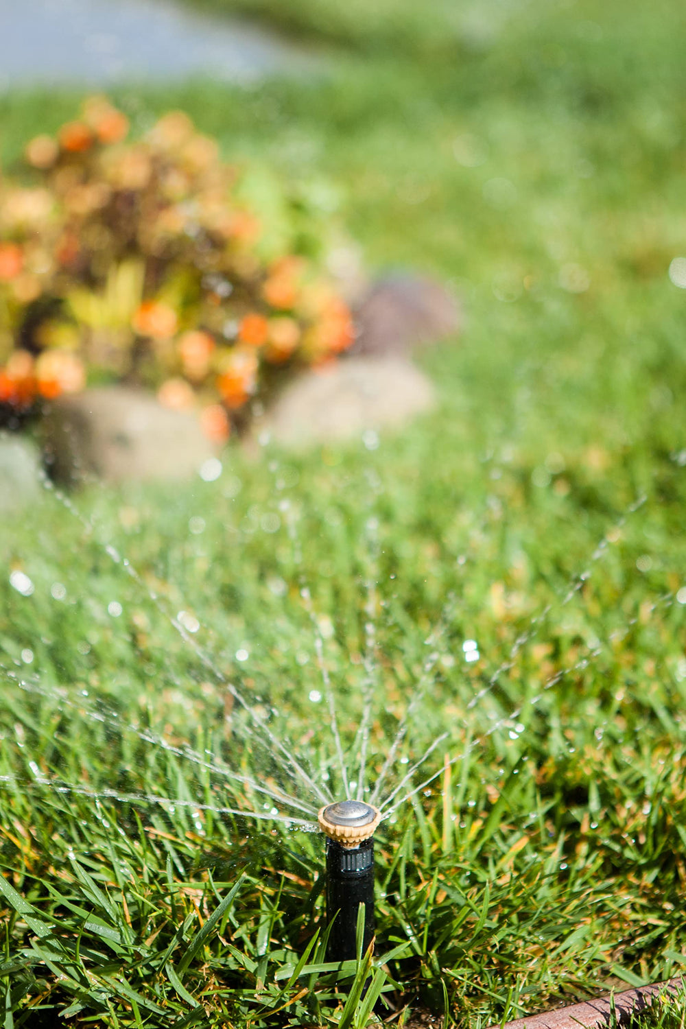 Rain Bird nozzle irrigating a hillside to reduce runoff and erosion