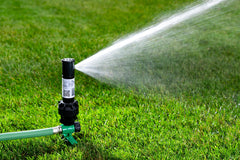 Rain Bird nozzle top detail highlighting Rain Curtain for targeted watering