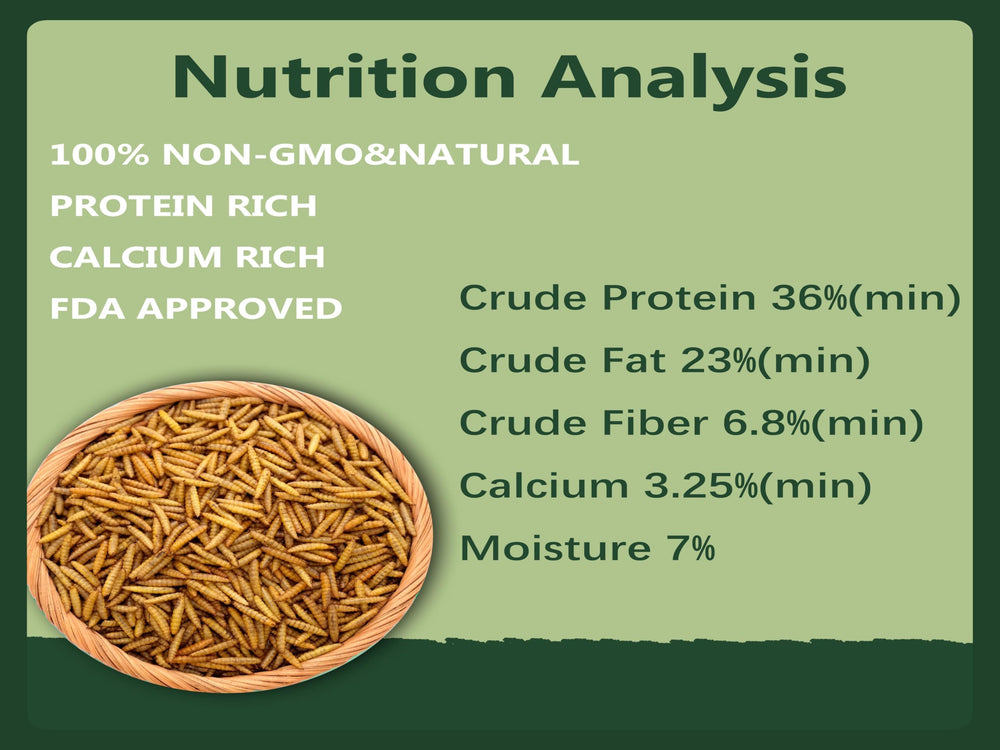 Rexilon close-up of dried larvae texture showcasing high-protein quality