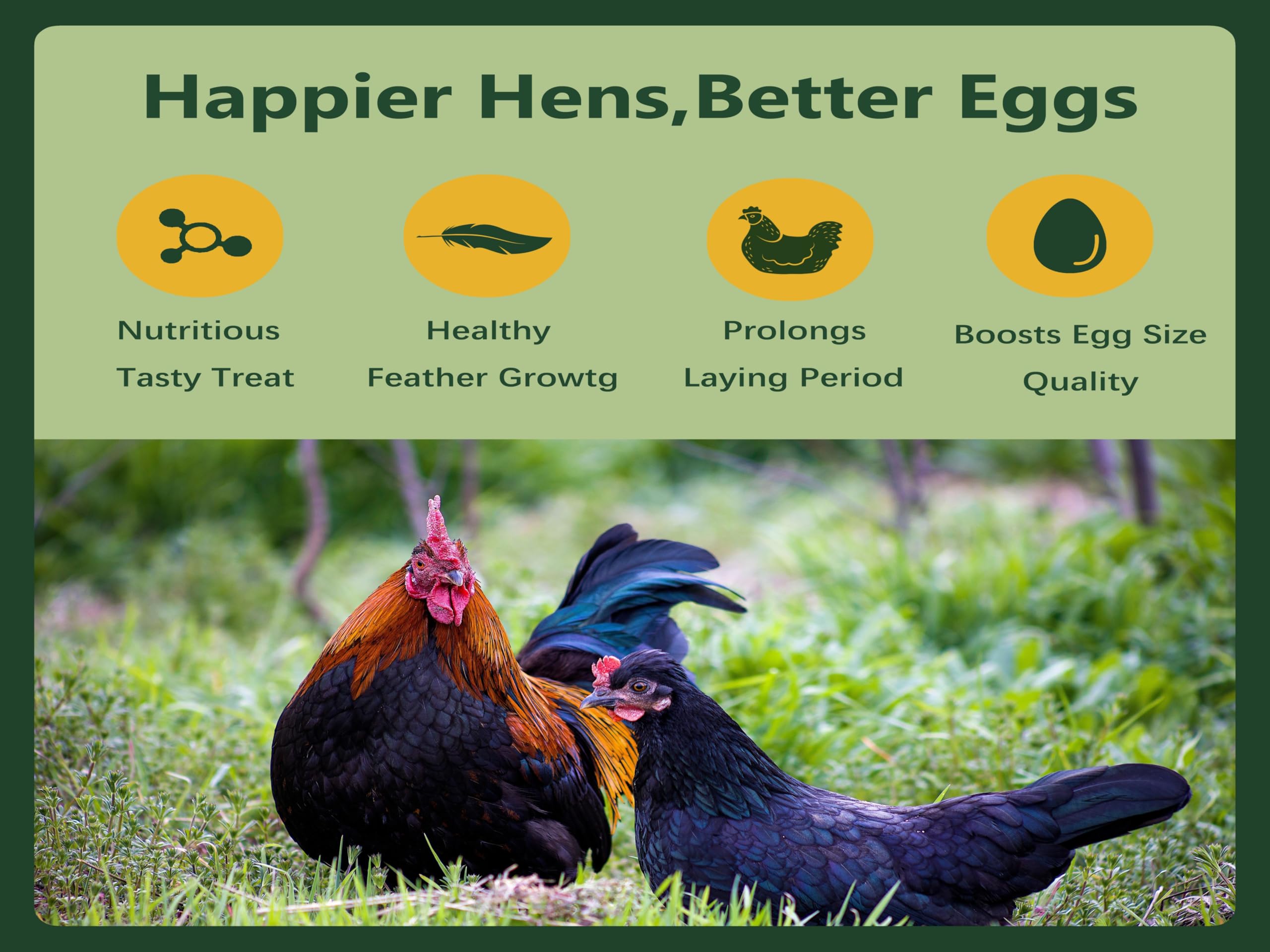 Rexilon serving bowl with chickens eating demonstrating foraging benefit