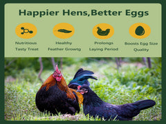 Rexilon serving bowl with chickens eating demonstrating foraging benefit