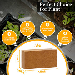 Riare close-up of expanded coir texture highlighting airy moisture retention