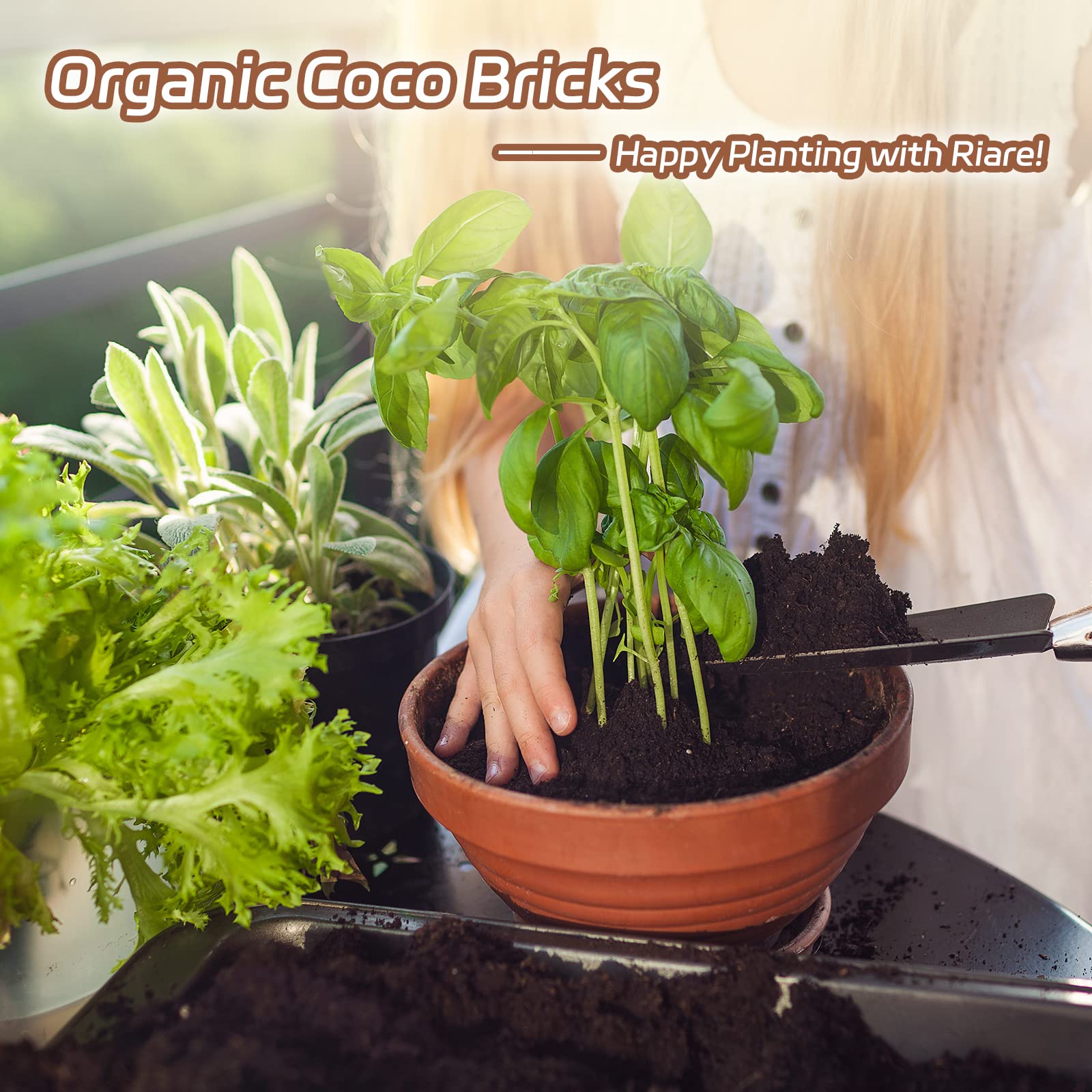Riare used in indoor potted plants for healthier root systems