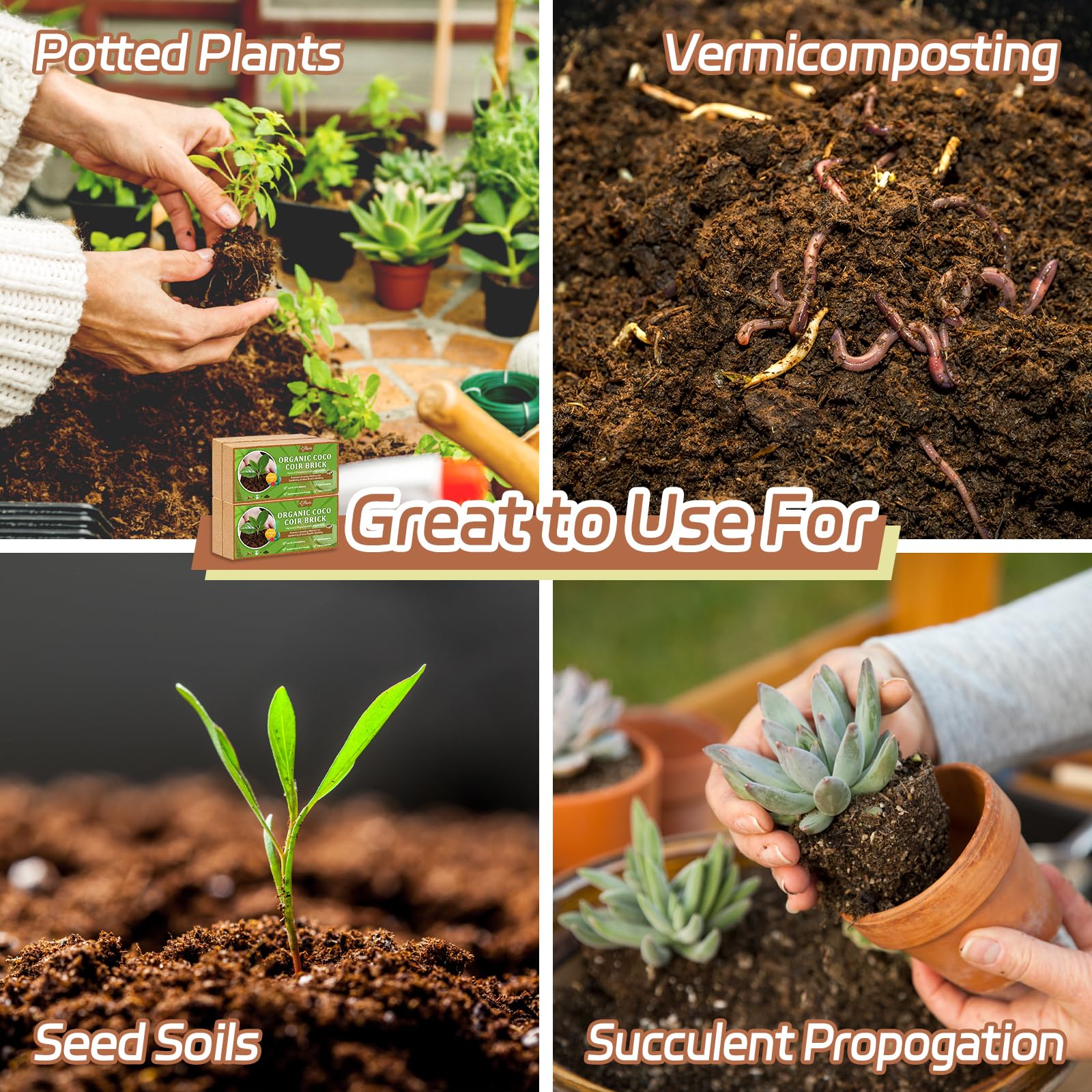 Riare coir mixed with soil for lightweight potting and drainage