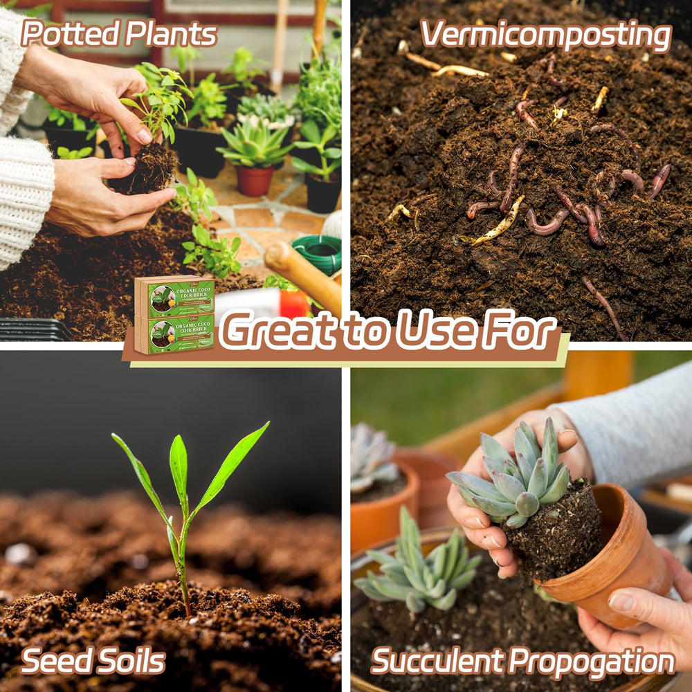 Riare coir mixed with soil for lightweight potting and drainage