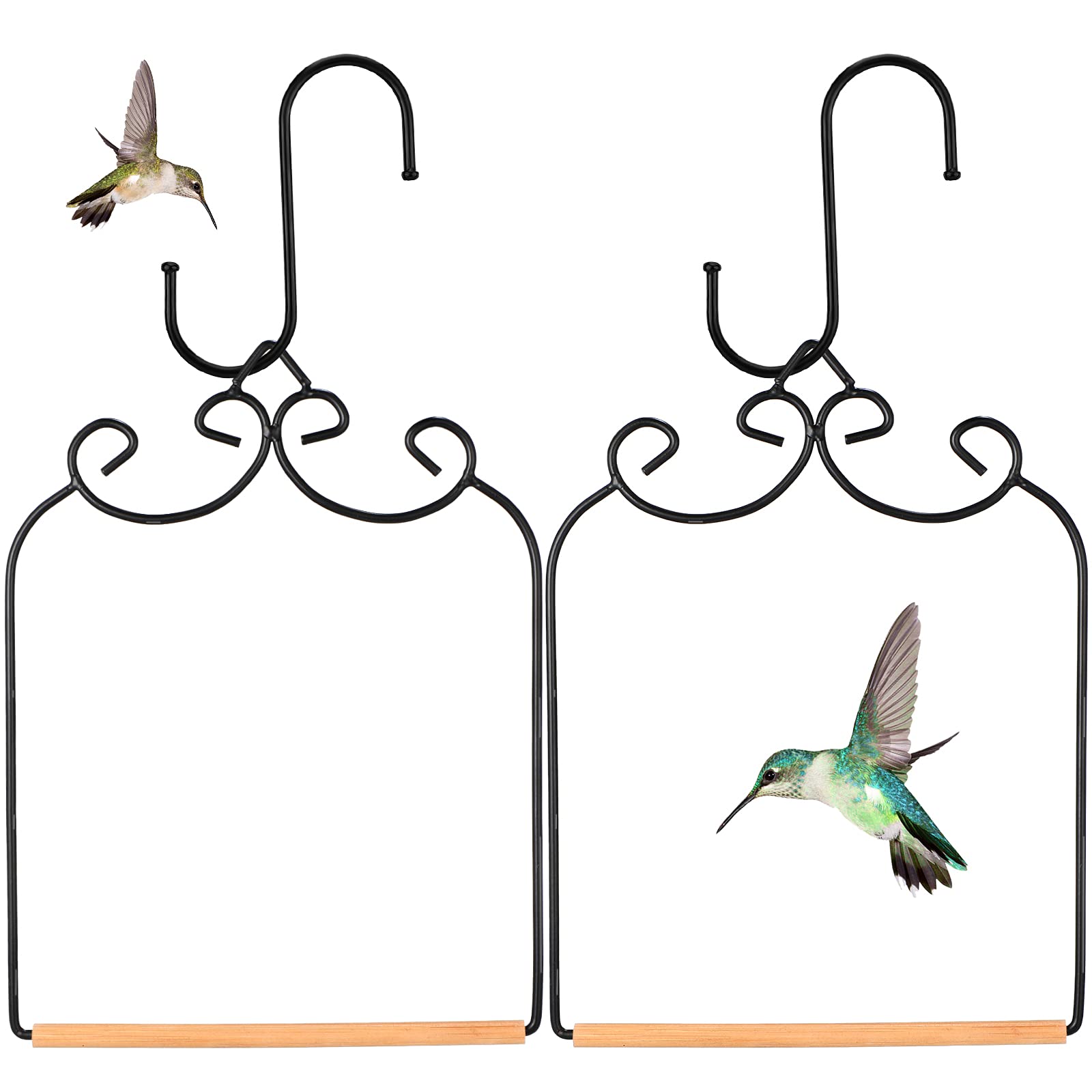 Ripeng swing front view showcasing frame and perch benefit visibility