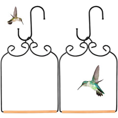 Ripeng swing front view showcasing frame and perch benefit visibility