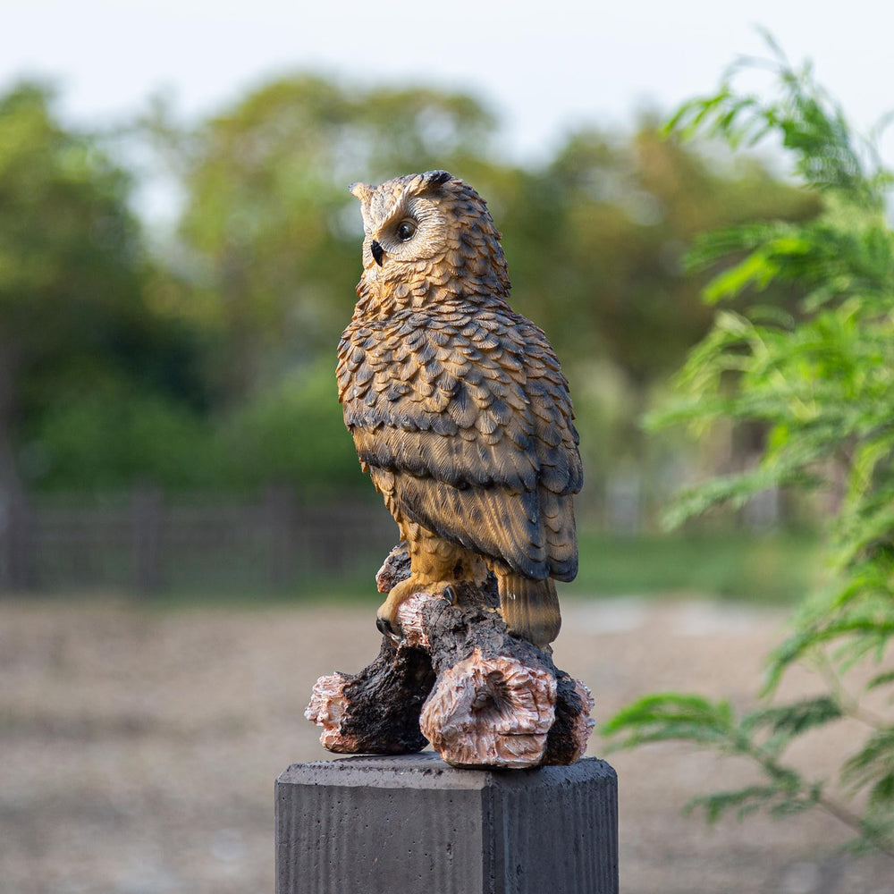 RKGOMDMU owl next to ruler showing 13.3-inch scale for placement planning