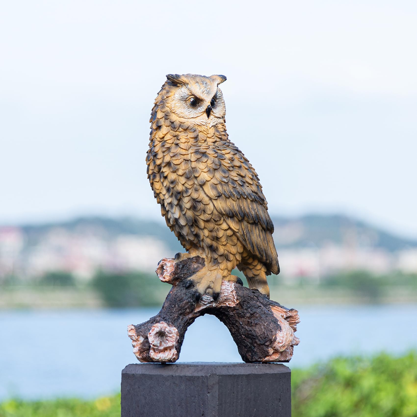 RKGOMDMU owl in light rain showing waterproof finish for year-round durability