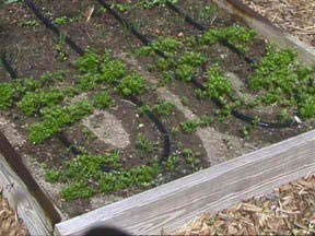 Rocky Mountain Goods hose laid beside yard ruler showing 75 feet scale, verifies generous length