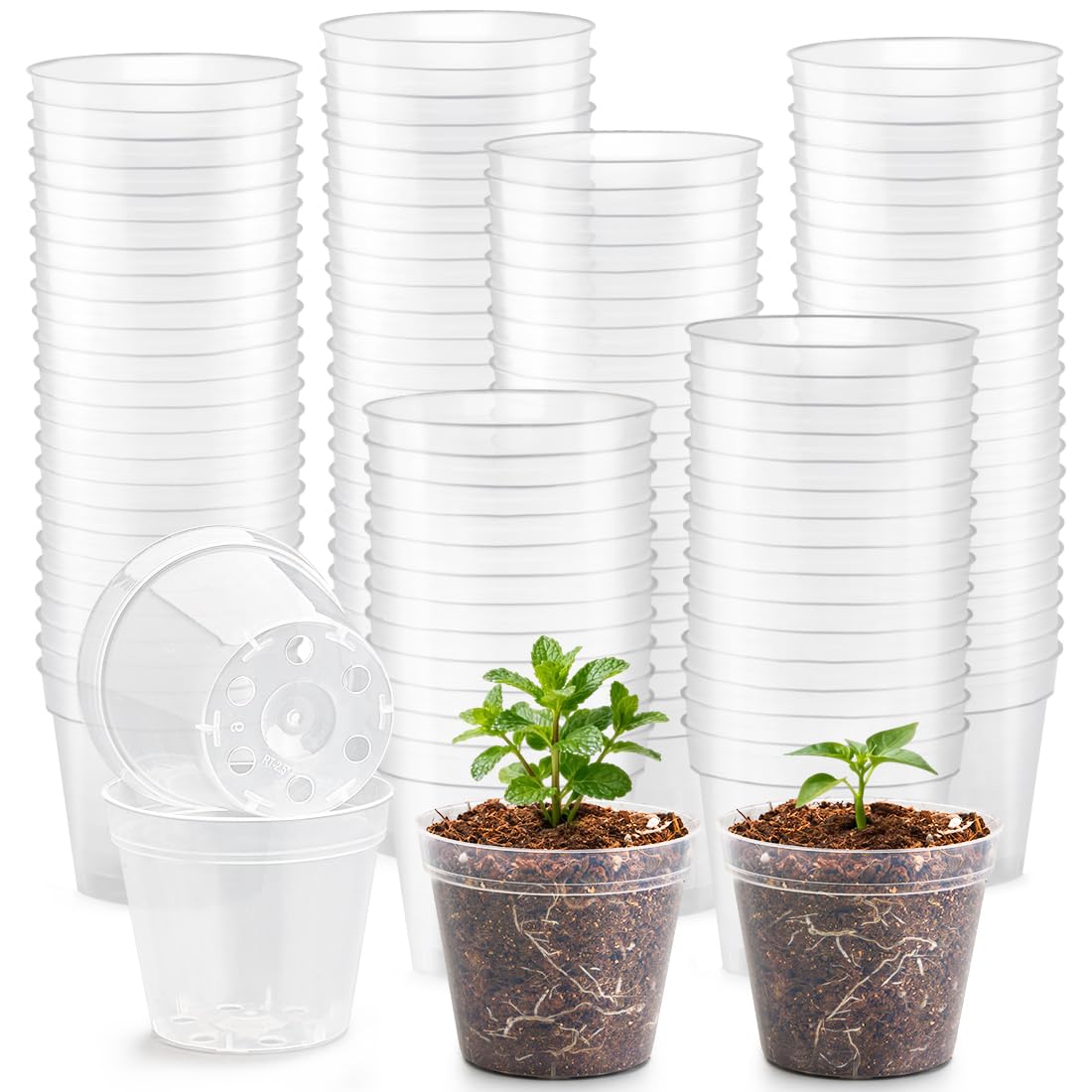 RooTrimmer clear front view showing pot shape and visibility benefit