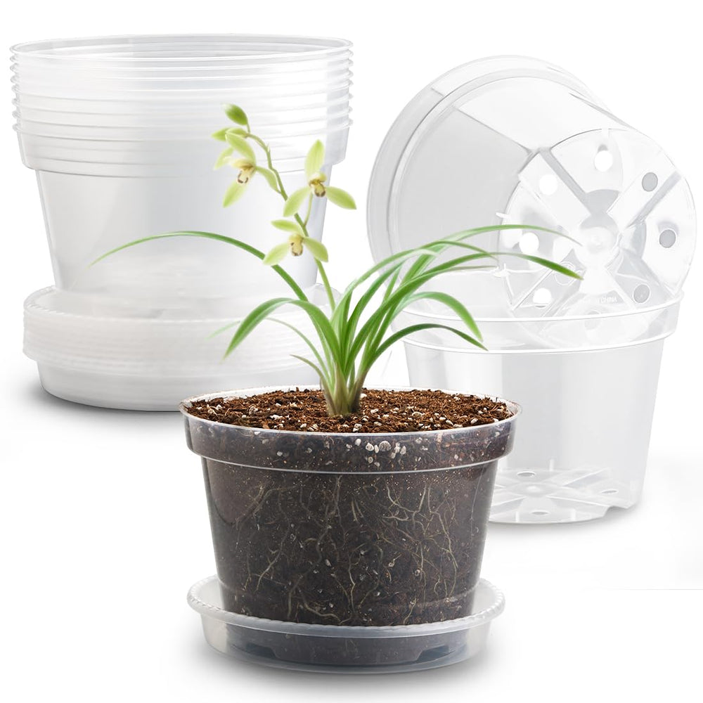 RooTrimmer clear pot front view showing clean durable design and easy handling