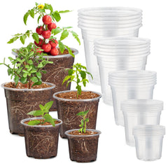 RooTrimmer front view of 30-pack clear nursery pots showing assortment and convenience