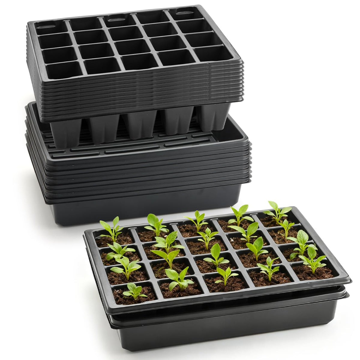 RooTrimmer front view showing ten plug and ten flat trays, organized for fast setup