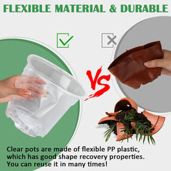 RooTrimmer transparent pot side showing visible roots for easy monitoring benefit