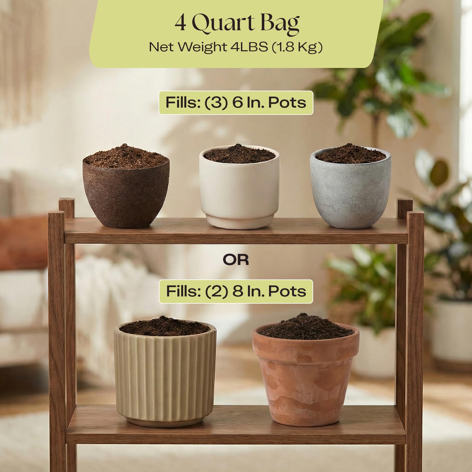 Rosy Soil next to a 6‑inch pot for scale showing coverage benefit