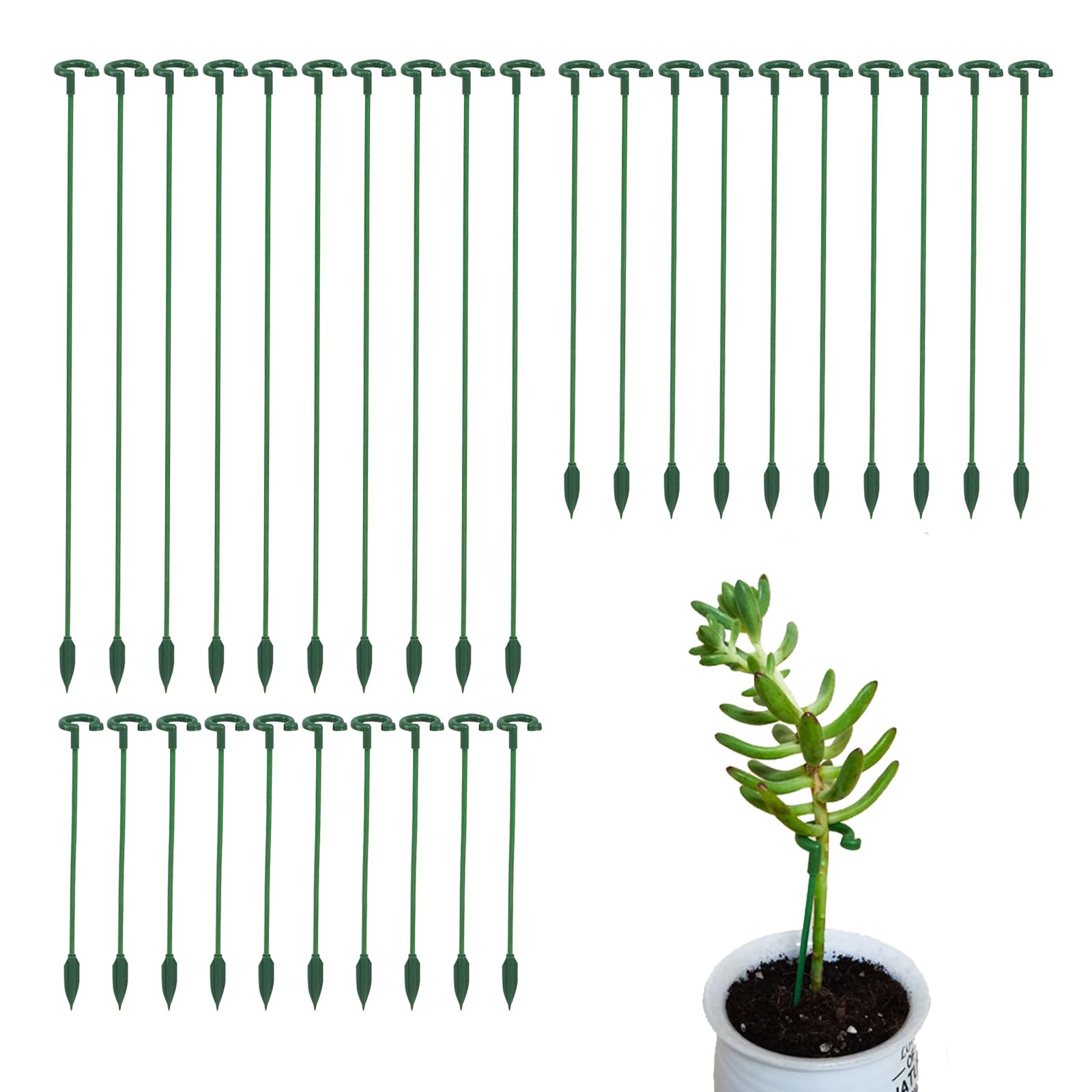 Ruksifg front packaging showing 30 green plant stakes supporting plants