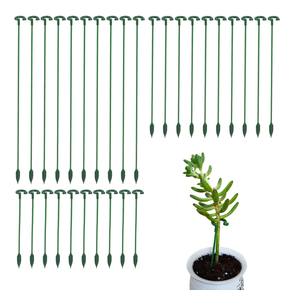 Ruksifg front packaging showing 30 green plant stakes supporting plants