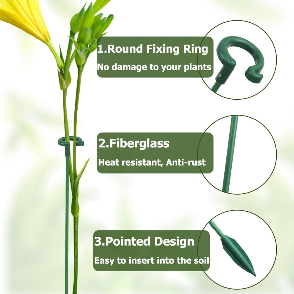 Ruksifg V-shaped prongs inserted into soil for stronger hold