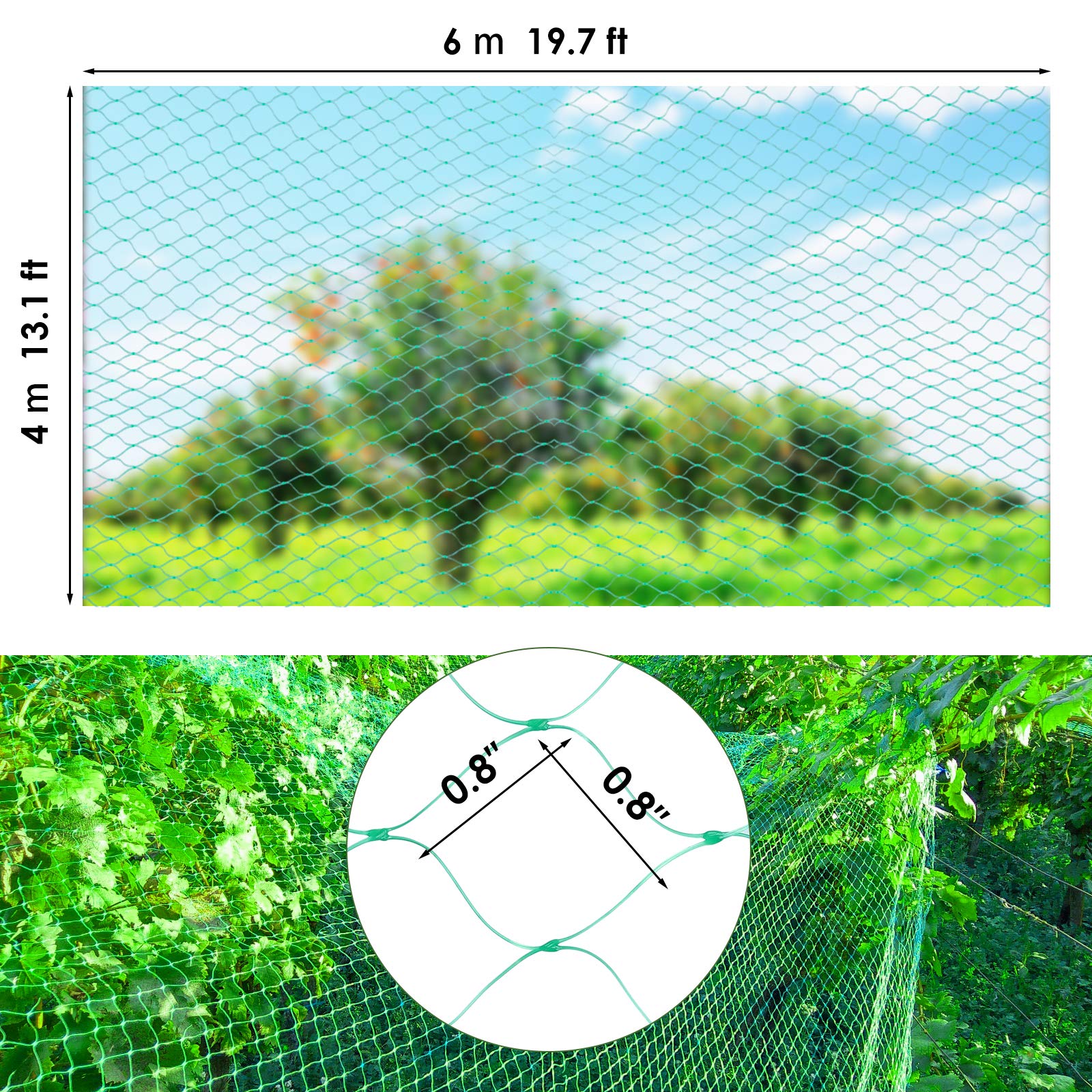 Ruolan netting covering a strawberry bed to keep birds and squirrels away