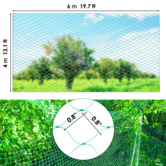 Ruolan netting covering a strawberry bed to keep birds and squirrels away