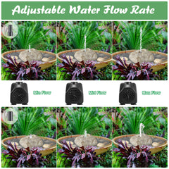 Saillong fountain placed in birdbath showing correct scale and improved bird visits