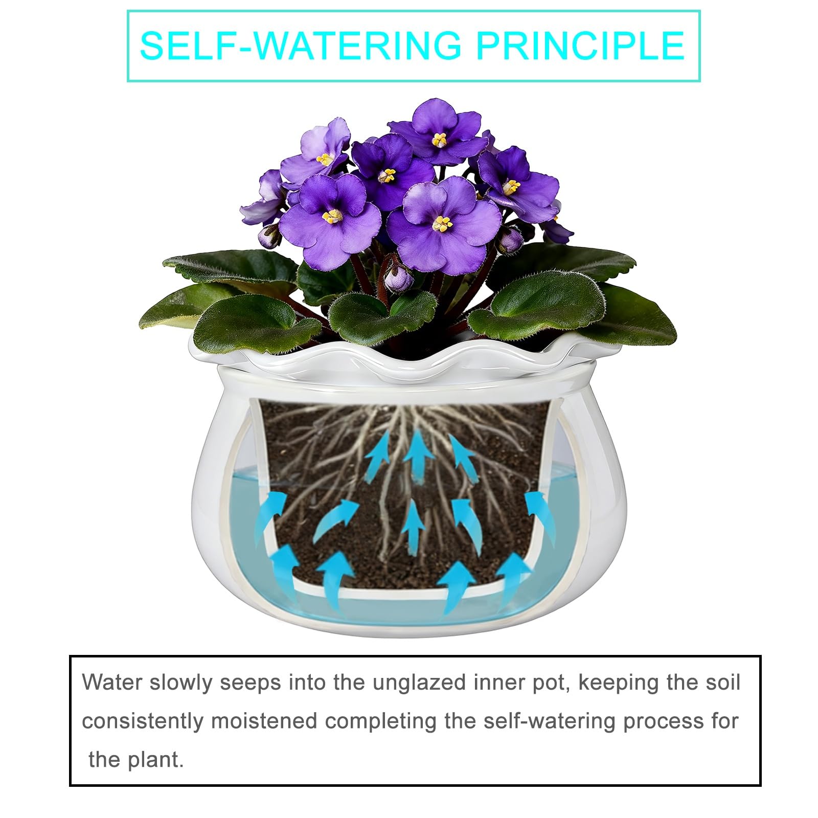 Sanmudecor two-piece inner pot and reservoir detail for easy bottom watering