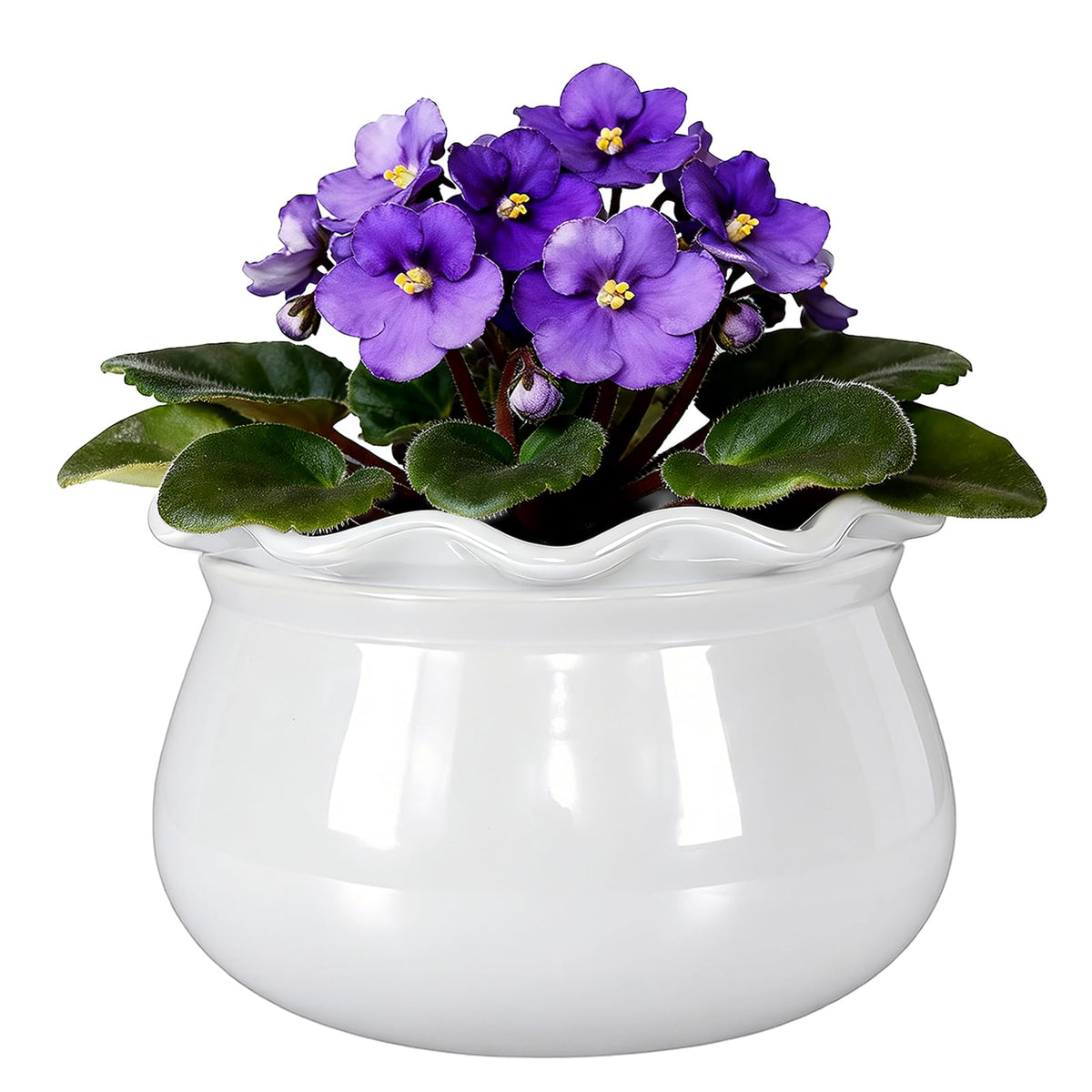 Sanmudecor white planter front view showcasing ruffled edge and elegant appeal