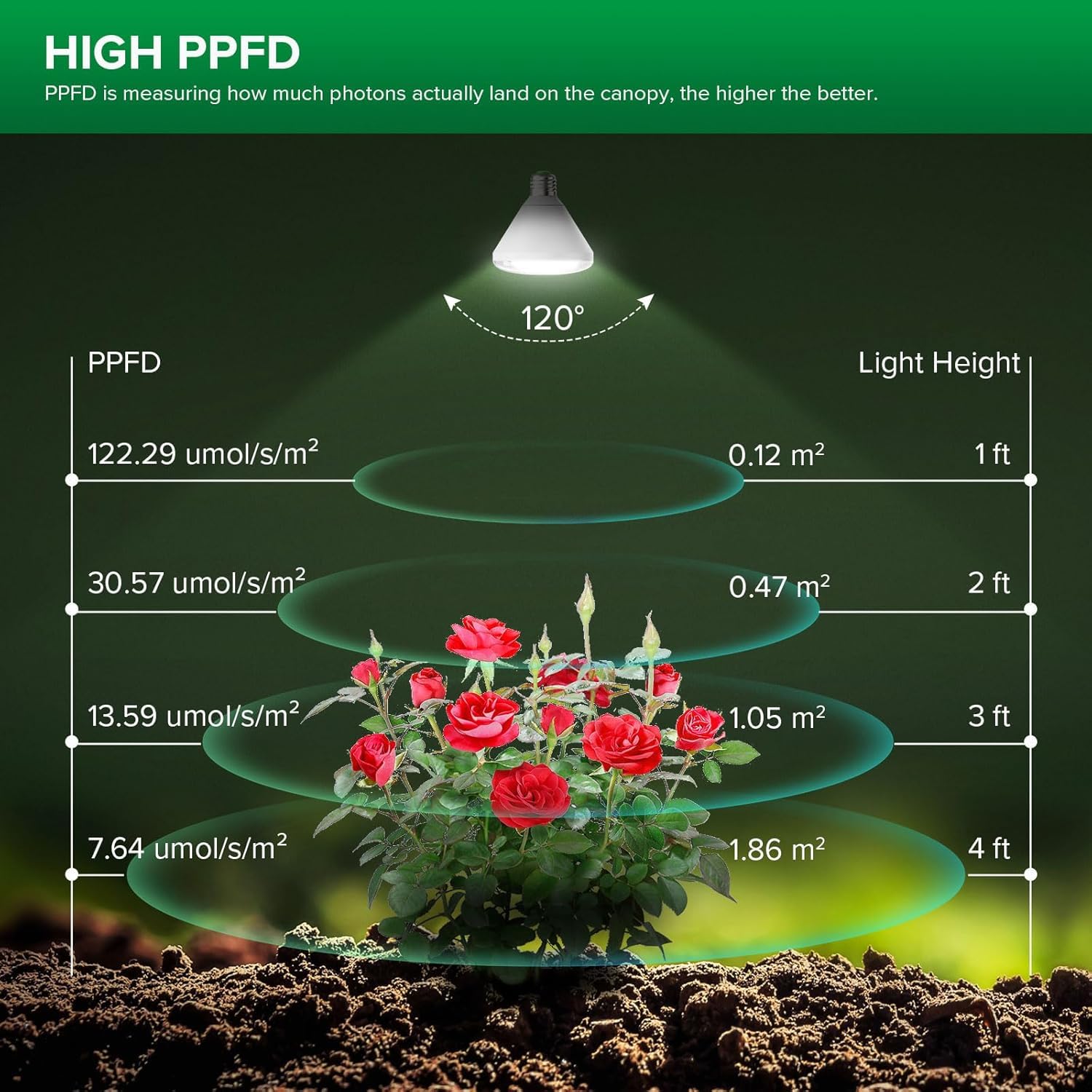 SANSI beam lighting multiple plants evenly showing broader coverage advantage