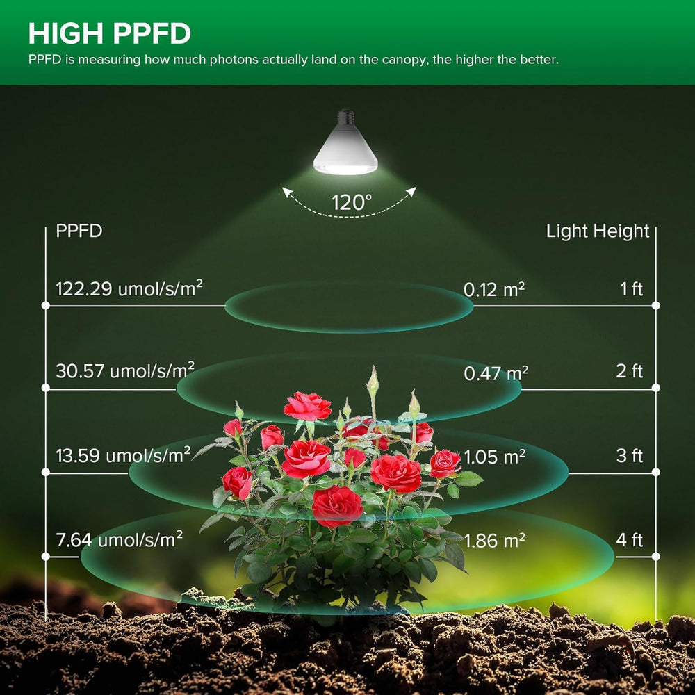 SANSI beam lighting multiple plants evenly showing broader coverage advantage