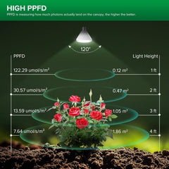 SANSI beam lighting multiple plants evenly showing broader coverage advantage