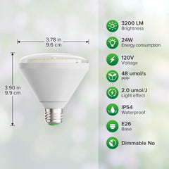 SANSI bulb installed in standard socket demonstrating easy replacement benefit