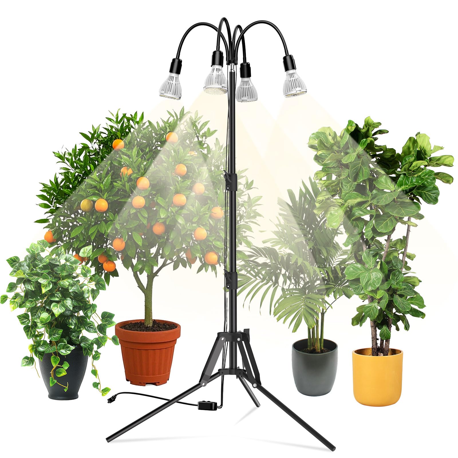 SANSI front view assembled grow light showing stable tripod and four bulbs for even coverage