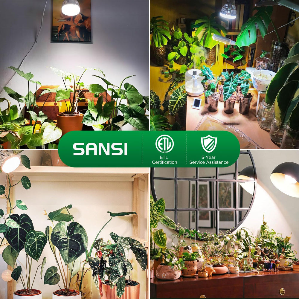 SANSI bulb label with ETL and CE marks for verified safety and quality
