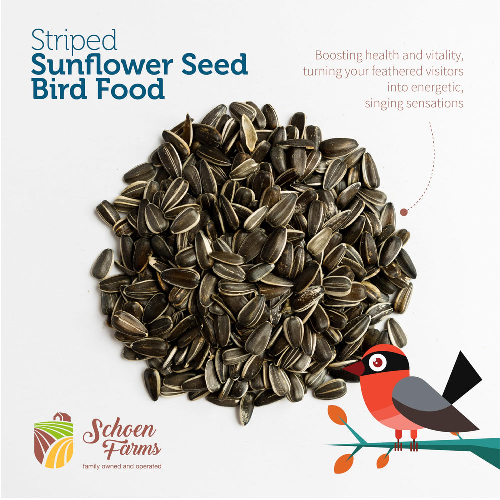 Schoen Farms platform feeder filled with seeds, encourages visits