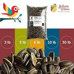 Schoen Farms seeds filling a backyard feeder attracting songbirds