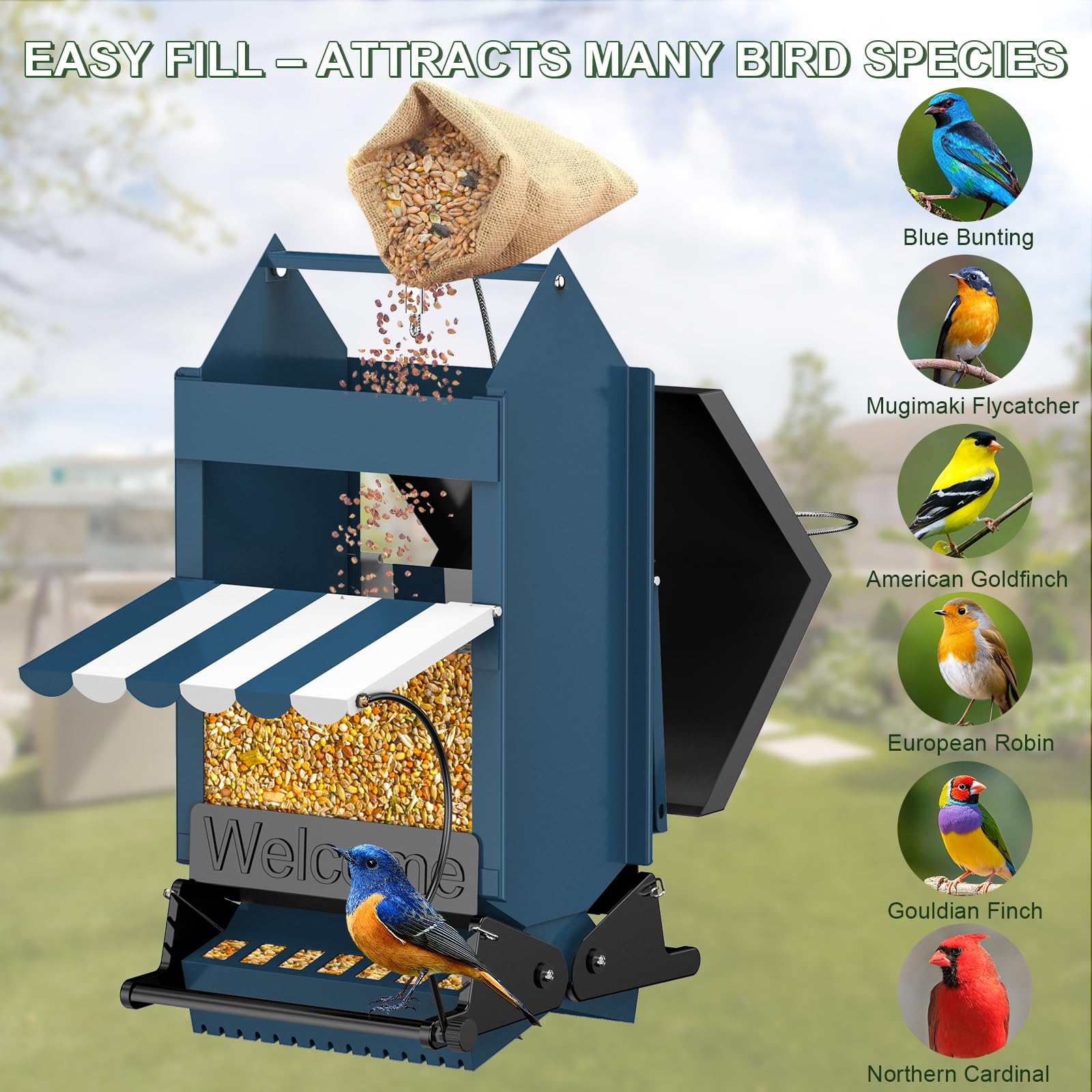 ScinDa feeder hanging in backyard attracting songbirds for birdwatching enjoyment