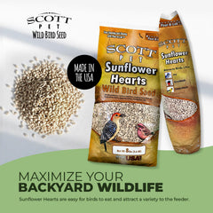 Scott Pet feeder with visiting cardinal attracted by sunflower hearts