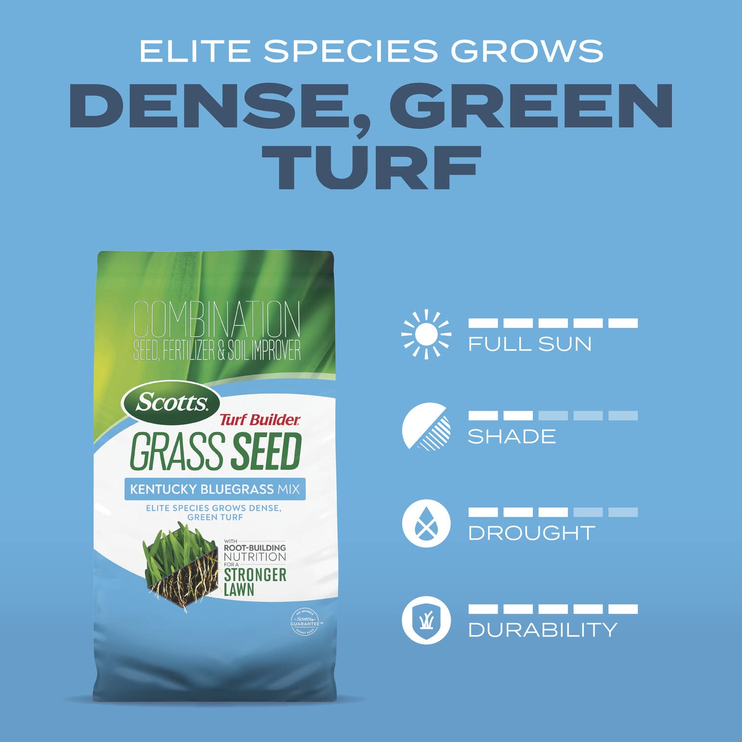 Established turf from Scotts seed ready to mow for dense, green lawn