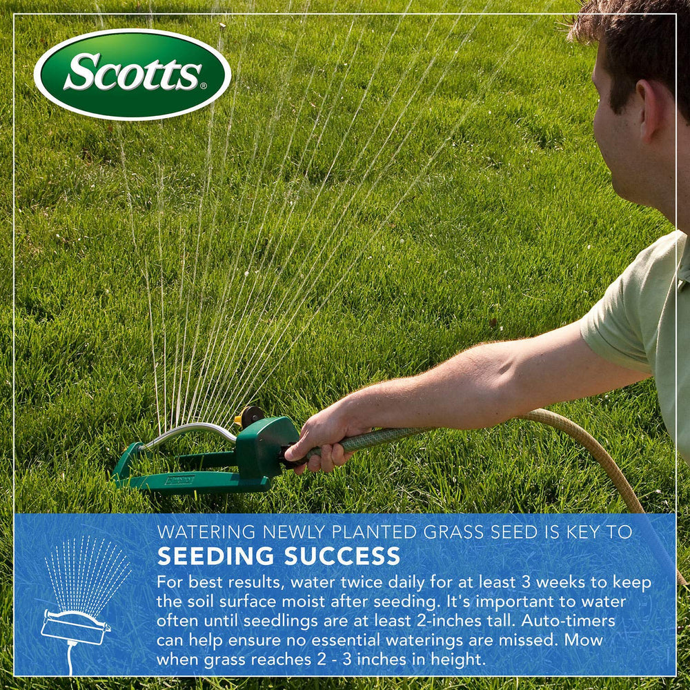 Scotts young zoysia sprouts demonstrating turf establishment benefit
