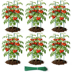 SDLDEER front packaging showing boxed six-pack and benefits