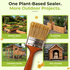 Seal It Green comparison of unsealed versus sealed wood highlighting moisture resistance